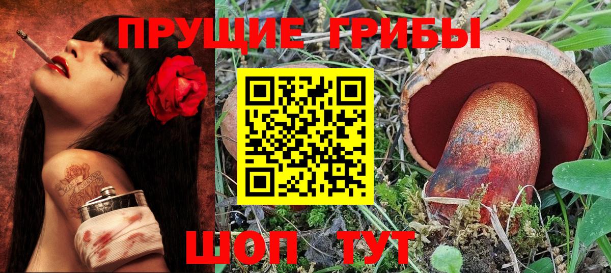 Псилоцибиновые грибы Psilocybine cubensis Салехард