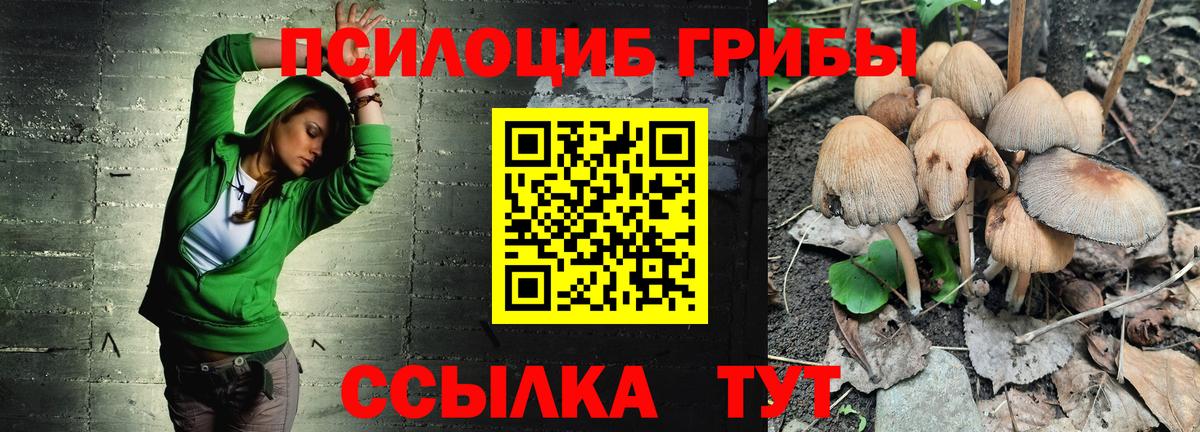 Псилоцибиновые грибы мухоморы  Галлюциногенные грибы Psilocybe  Салехард  Вход с VPN 
