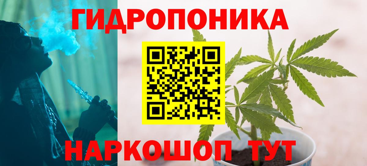Каннабис конопля Салехард